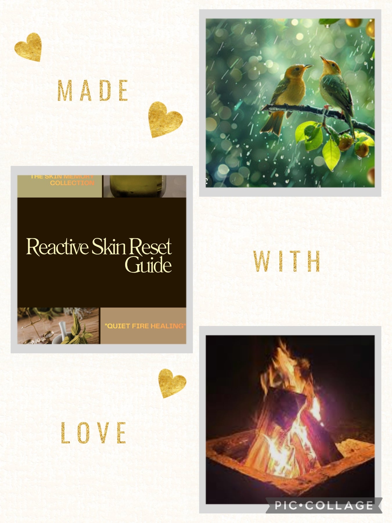 The Quiet Fire ebook + audio